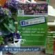 Socialmedia Facebook Gärtnerei Roßbacher